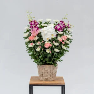 生花一基