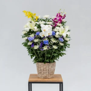 生花一基