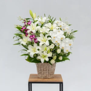 生花一基