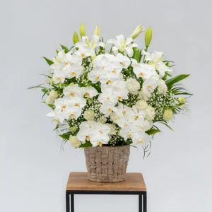 生花一基