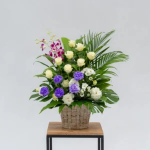 洋花一基