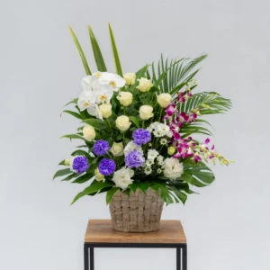洋花一基