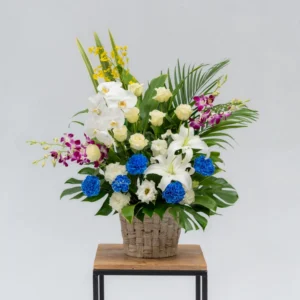洋花一基