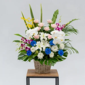 洋花一基