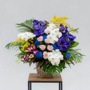 洋花一基