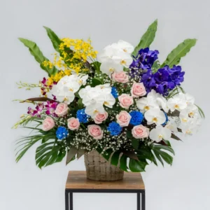 洋花一基